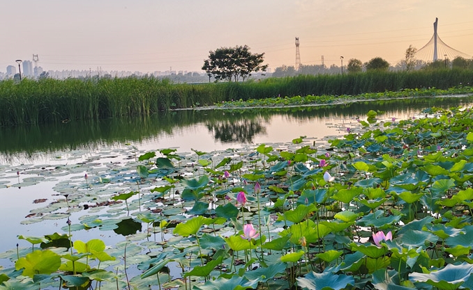 一片和|传统哲学的当代激